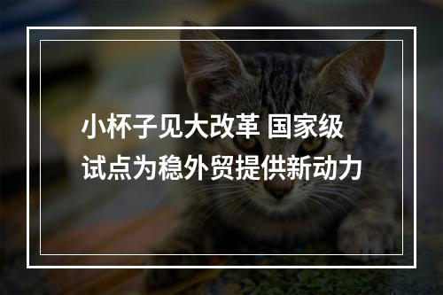 小杯子见大改革 国家级试点为稳外贸提供新动力