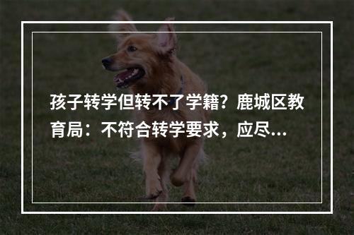 孩子转学但转不了学籍？鹿城区教育局：不符合转学要求，应尽快回温上学