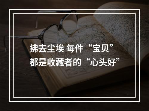 拂去尘埃 每件“宝贝”都是收藏者的“心头好”