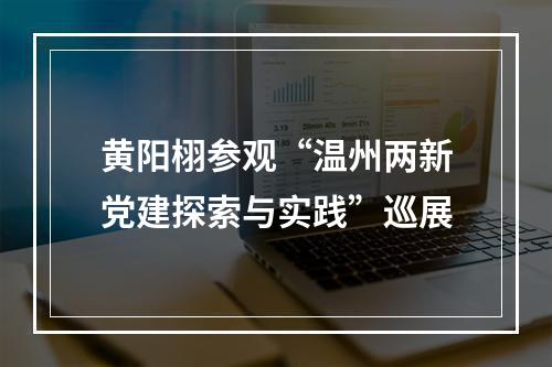黄阳栩参观“温州两新党建探索与实践”巡展