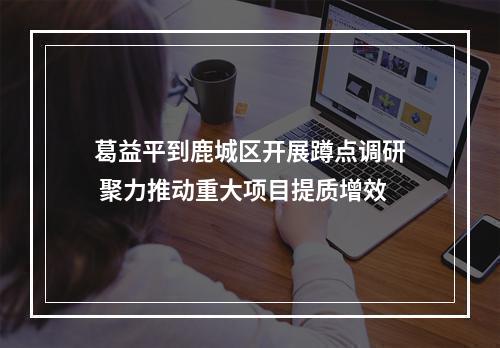 葛益平到鹿城区开展蹲点调研 聚力推动重大项目提质增效