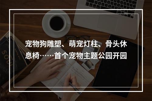 宠物狗雕塑、萌宠灯柱、骨头休息椅……首个宠物主题公园开园