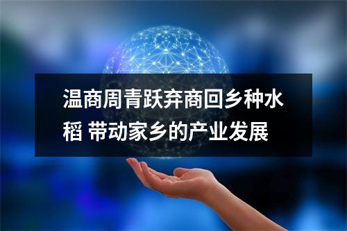 温商周青跃弃商回乡种水稻 带动家乡的产业发展