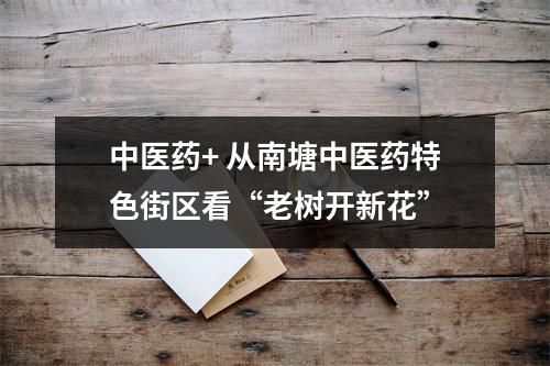 中医药+ 从南塘中医药特色街区看“老树开新花”