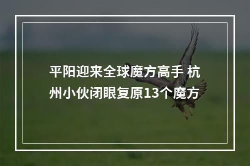 平阳迎来全球魔方高手 杭州小伙闭眼复原13个魔方
