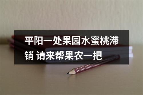 平阳一处果园水蜜桃滞销 请来帮果农一把