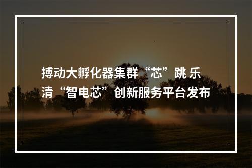 搏动大孵化器集群“芯”跳 乐清“智电芯”创新服务平台发布