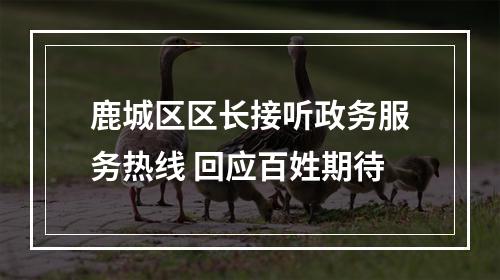 鹿城区区长接听政务服务热线 回应百姓期待