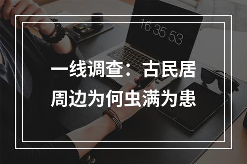 一线调查：古民居周边为何虫满为患