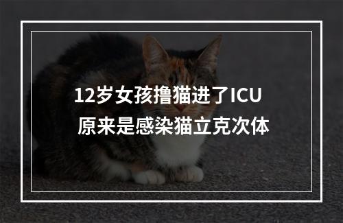 12岁女孩撸猫进了ICU 原来是感染猫立克次体