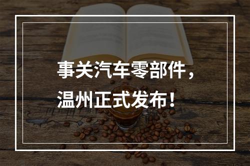 事关汽车零部件，温州正式发布！