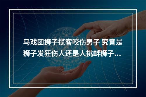 马戏团狮子揽客咬伤男子 究竟是狮子发狂伤人还是人挑衅狮子？