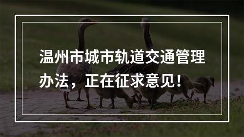 温州市城市轨道交通管理办法，正在征求意见！