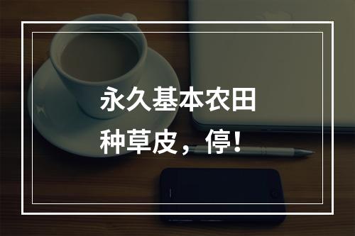 永久基本农田种草皮，停！