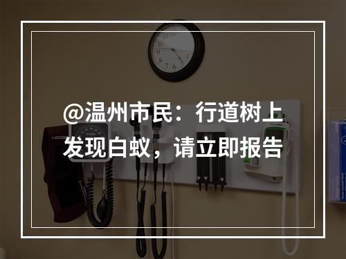 @温州市民：行道树上发现白蚁，请立即报告