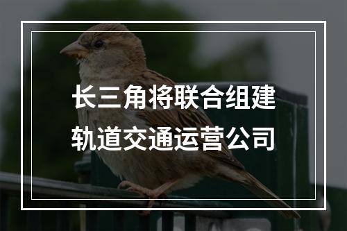 长三角将联合组建轨道交通运营公司