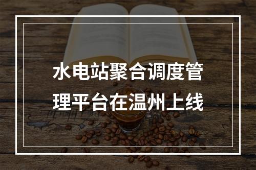 水电站聚合调度管理平台在温州上线