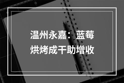 温州永嘉：蓝莓烘烤成干助增收