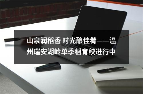 山泉润稻香 时光酿佳肴——温州瑞安湖岭单季稻育秧进行中