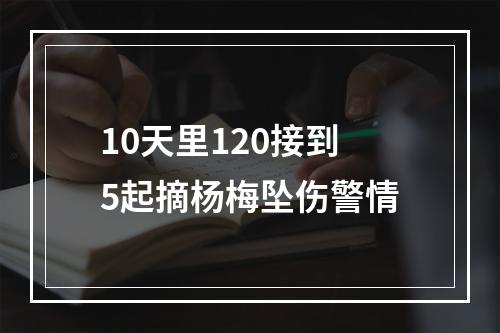 10天里120接到5起摘杨梅坠伤警情