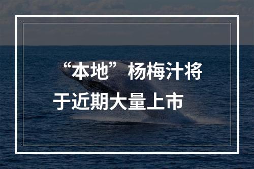 “本地”杨梅汁将于近期大量上市