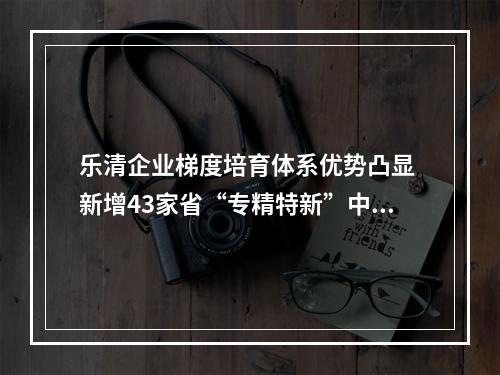 乐清企业梯度培育体系优势凸显 新增43家省“专精特新”中小企