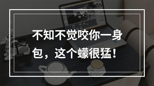不知不觉咬你一身包，这个蠓很猛！
