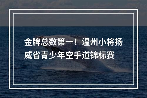 金牌总数第一！温州小将扬威省青少年空手道锦标赛