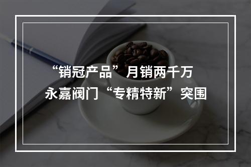 “销冠产品”月销两千万 永嘉阀门“专精特新”突围