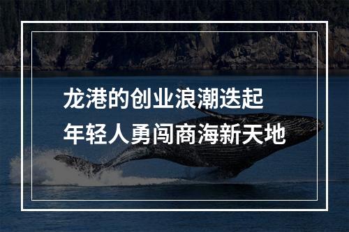 龙港的创业浪潮迭起 年轻人勇闯商海新天地