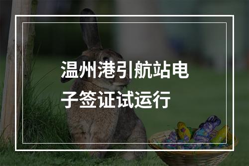 温州港引航站电子签证试运行