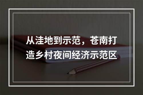 从洼地到示范，苍南打造乡村夜间经济示范区