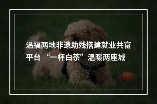 温福两地非遗助残搭建就业共富平台 “一杯白茶”温暖两座城