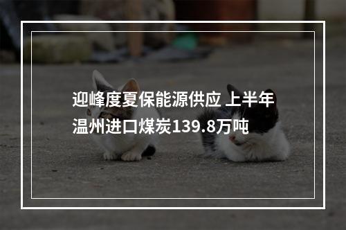 迎峰度夏保能源供应 上半年温州进口煤炭139.8万吨