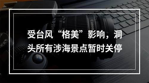 受台风“格美”影响，洞头所有涉海景点暂时关停