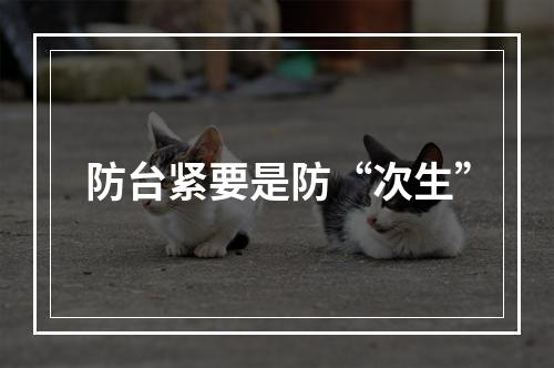防台紧要是防“次生”