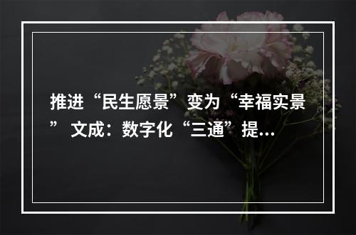 推进“民生愿景”变为“幸福实景” 文成：数字化“三通”提质增效