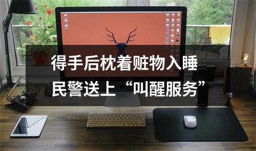 得手后枕着赃物入睡 民警送上“叫醒服务”