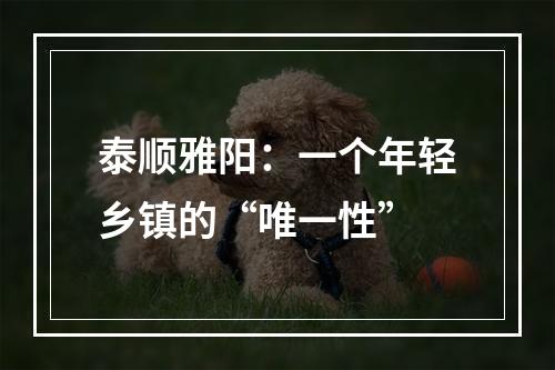 泰顺雅阳：一个年轻乡镇的“唯一性”