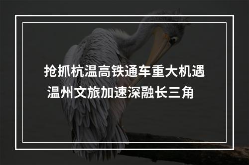 抢抓杭温高铁通车重大机遇 温州文旅加速深融长三角