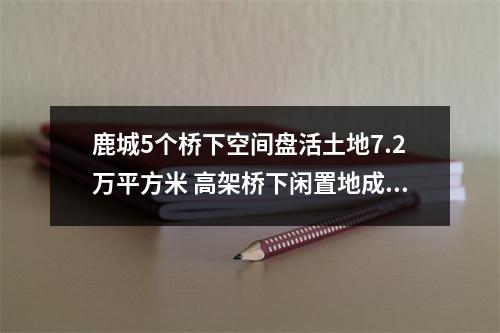 鹿城5个桥下空间盘活土地7.2万平方米 高架桥下闲置地成休闲好去处