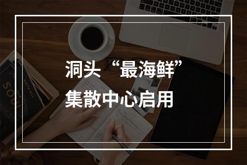 洞头“最海鲜”集散中心启用