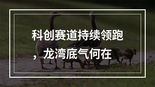 科创赛道持续领跑，龙湾底气何在