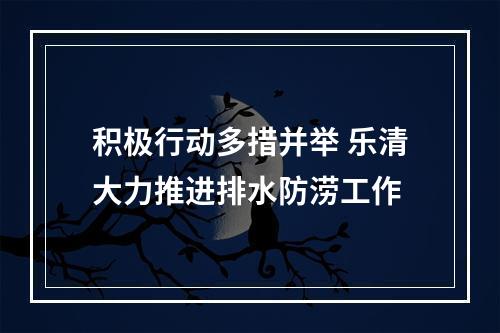 积极行动多措并举 乐清大力推进排水防涝工作