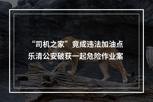 “司机之家”竟成违法加油点 乐清公安破获一起危险作业案
