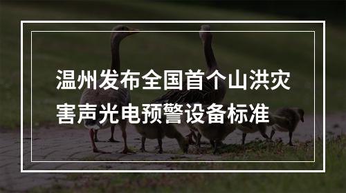 温州发布全国首个山洪灾害声光电预警设备标准
