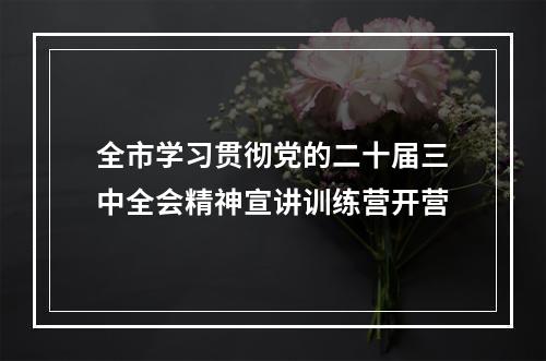 全市学习贯彻党的二十届三中全会精神宣讲训练营开营