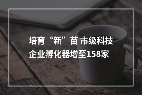 培育“新”苗 市级科技企业孵化器增至158家