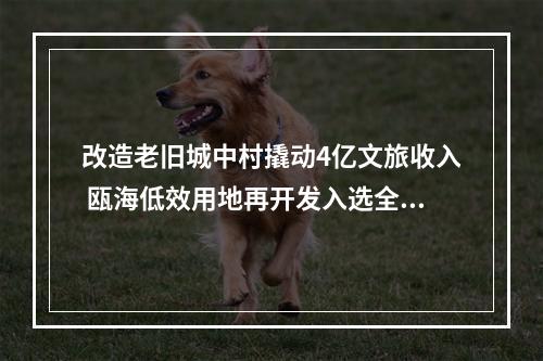 改造老旧城中村撬动4亿文旅收入 瓯海低效用地再开发入选全国典型案例