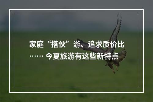 家庭“搭伙”游、追求质价比…… 今夏旅游有这些新特点